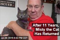 After 11 years, Misty the Cat Has Returned