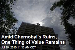 Amid Chernobyl&#39;s Ruins, One Thing of Value Remains