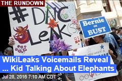 WikiLeaks Voicemails Reveal ... Kid Talking About Elephants