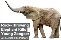 Rock-Throwing Elephant Kills Young Zoogoer