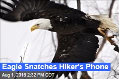 Eagle Snatches Hiker&#39;s Phone