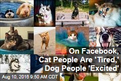 On Facebook, Cat People Are &#39;Tired,&#39; Dog People &#39;Excited&#39;