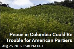 FARC Deal Endangers US&#39; Cocaine Supply