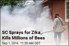 SC Sprays for Zika, Kills Millions of Bees