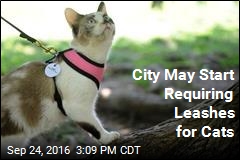 Alaska City to Vote on Cat Leash Law