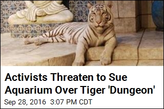 Activists Threaten to Sue Aquarium Over Tiger &#39;Dungeon&#39;