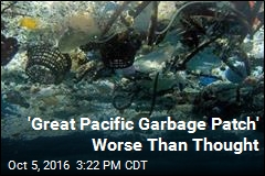 &#39;Great Pacific Garbage Patch&#39; Far Worse Than Thought