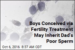 Boys Conceived via Fertility Treatment May Inherit Dad&#39;s Poor Sperm