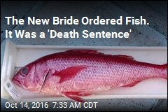 The New Bride Ordered Fish. It Was a &#39;Death Sentence&#39;