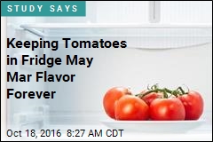 Chill Your Tomatoes, Kill Their Flavor
