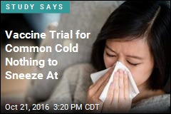 Vaccine Trial for Common Cold Nothing to Sneeze At