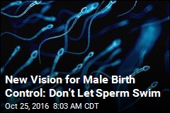 New Vision for Male Birth Control: Don&#39;t Let Sperm Swim