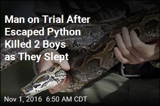 Man on Trial After Escaped Python Killed Two Boys as They Slept