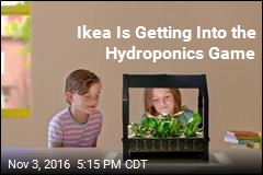 Ikea Is Getting Into the Hydroponics Game