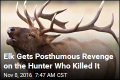 Hunter Kills Elk, Proceeds to Impale Self on Antler