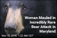 Woman Mauled in Incredibly Rare Bear Attack