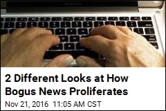 2 Different Looks at How Bogus News Proliferates