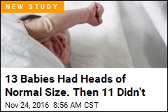 13 Babies Had Heads of Normal Size. Then 11 Didn&#39;t