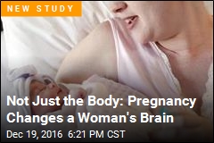 Pregnancy Changes a Woman&#39;s Brain&mdash;for Years