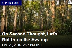 On Second Thought, Let&#39;s Not Drain the Swamp