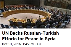 UN Backs Russian-Turkish Efforts for Peach in Syria