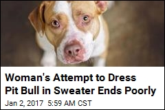 Dog Attacks Owner as She Tried to Put a Sweater on Him