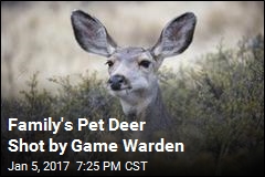 Family&#39;s Pet Deer Shot by Game Warden