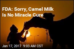 FDA: Sorry, Camel Milk Is No Miracle Cure