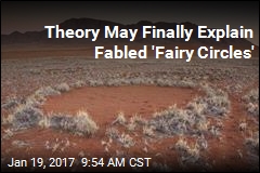 Theory May Finally Explain Fabled &#39;Fairy Circles&#39;