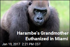 Harambe&#39;s Grandmother Euthanized in Miami