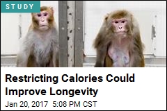 Restricting Calories Could Improve Longevity