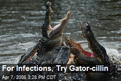 For Infections, Try Gator-cillin