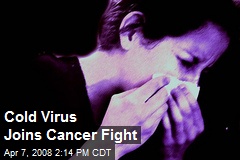 Cold Virus Joins Cancer Fight