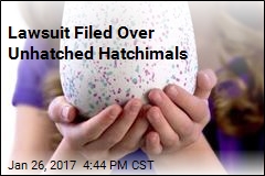 Lawsuit Filed Over Unhatched Hatchimals