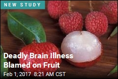 Deadly Brain Illness Blamed on Fruit