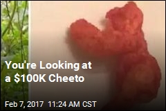 You&#39;re Looking at a $100K Cheeto