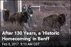 After 130 Years, a &#39;Historic Homecoming&#39; in Banff
