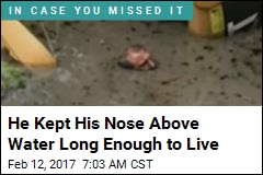 He Kept His Nose Above Water Long Enough to Live