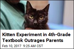 Parents Rail Against Book Calling for Kitten Suffocation