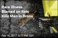NYC Rats Blamed for Deadly Illness