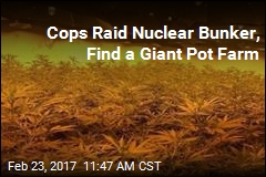 Nuclear Bunker Hid $1.25M Pot Factory