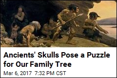 Ancients Skulls Pose a Puzzle for Our Family Tree
