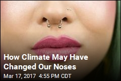 Study Finds Climate May Have Shaped Our Noses