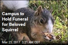 Campus to Hold Funeral for Beloved Squirrel