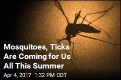 Mosquitoes, Ticks Are Coming for Us All This Summer