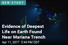 Evidence of Deepest Life on Earth Found Near Mariana Trench
