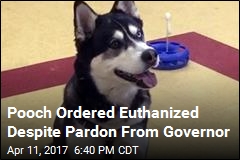 Pooch Ordered Euthanized Despite Pardon From Governor