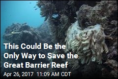 To Save the Great Barrier Reef, Scientists Look Skyward