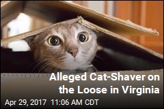Someone Is Shaving Cats That Aren&#39;t There&#39;s in Virginia