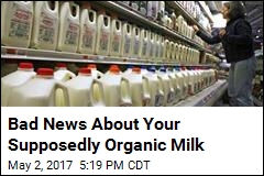 Bad News About Your Supposedly Organic Milk